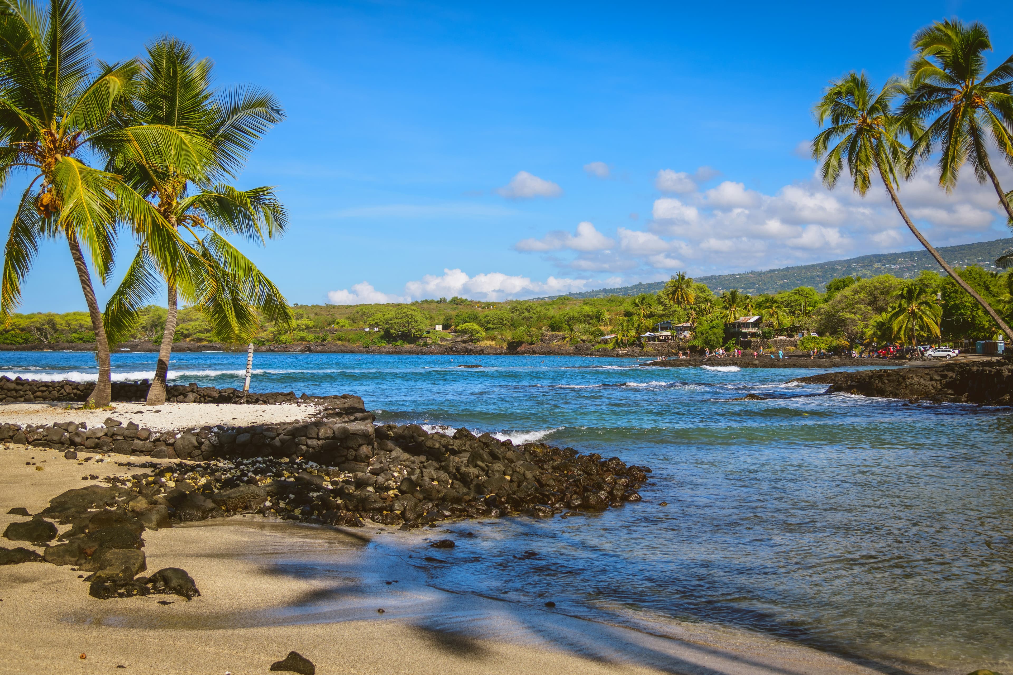 Palm trees along a lava rock shoreline on the Big Island of Hawaii