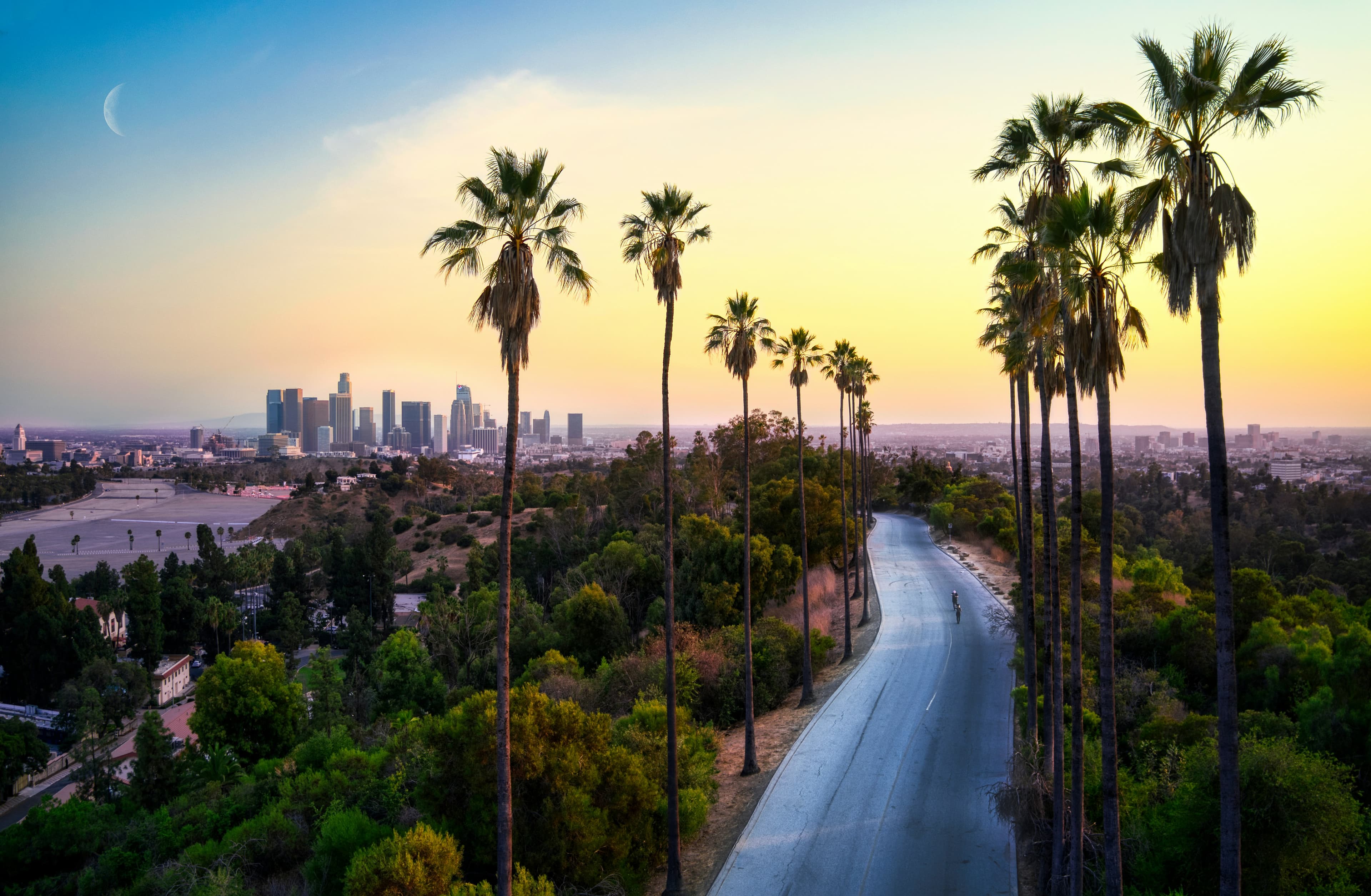 Palm-lined road leading toward the downtown Los Angeles skyline at golden hour
