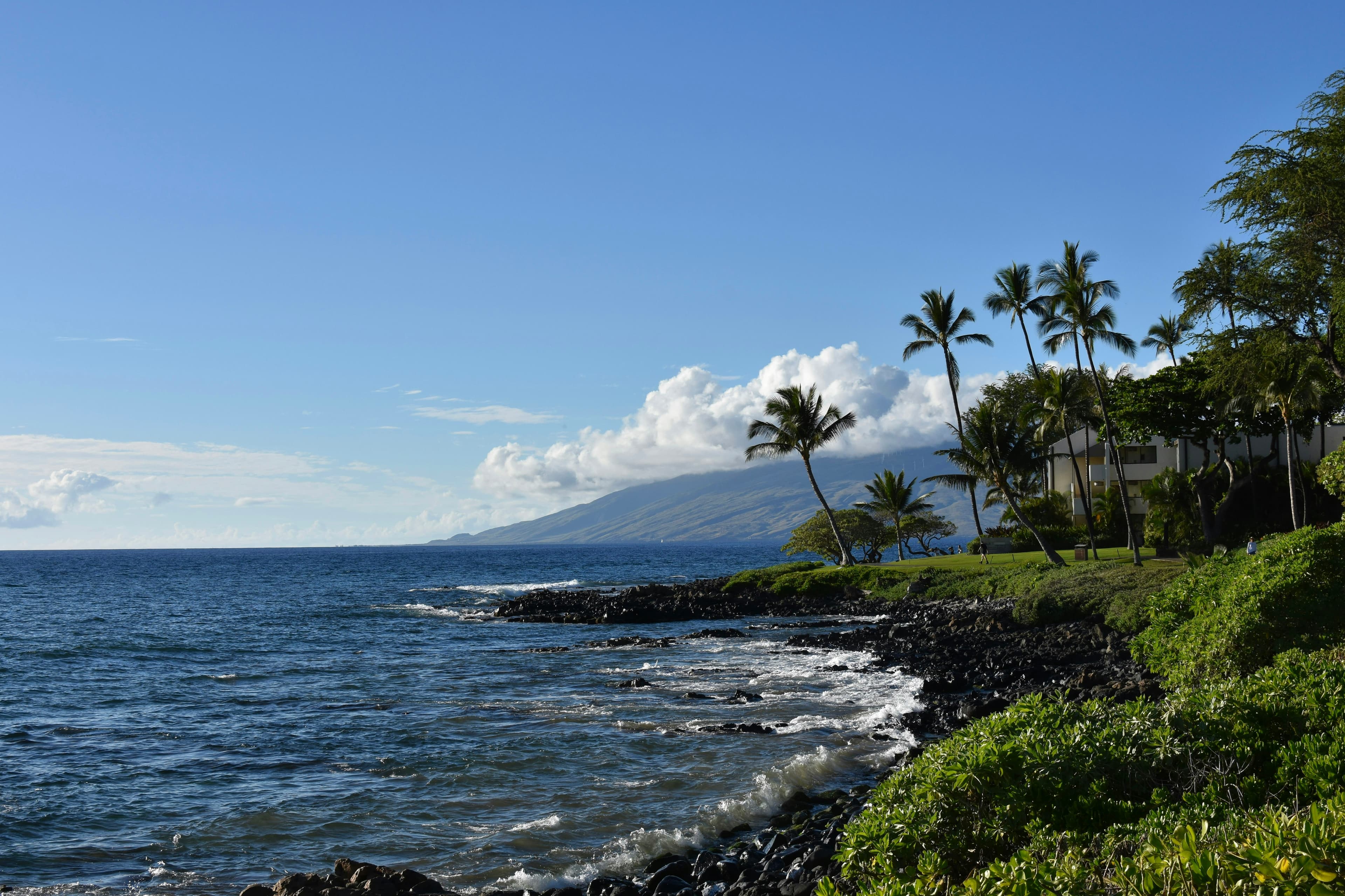 Palm-lined beach on Maui with the West Maui Mountains in the background