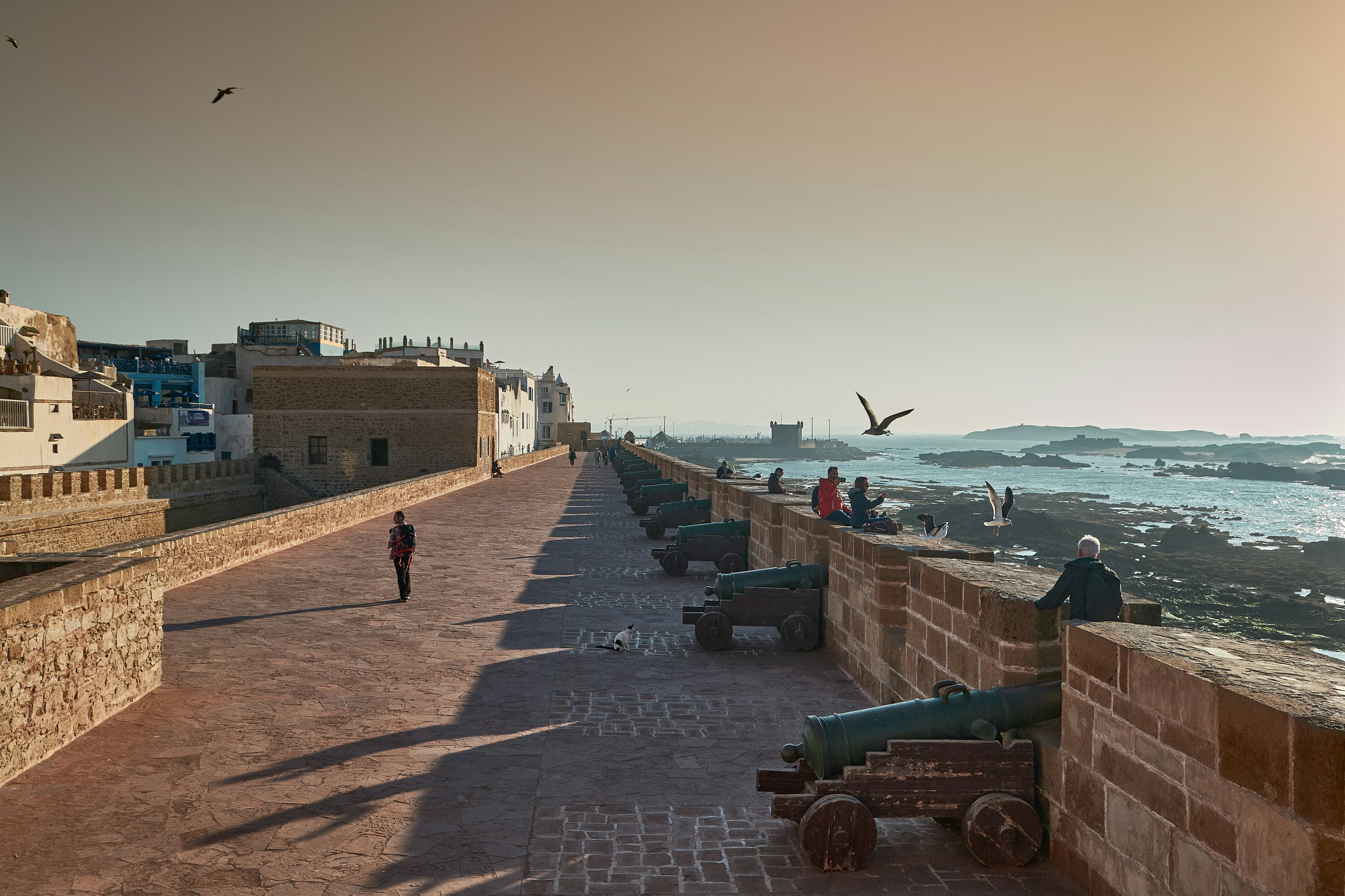 Un long mur de remparts surplombant l'océan et la ville d'Essaouira